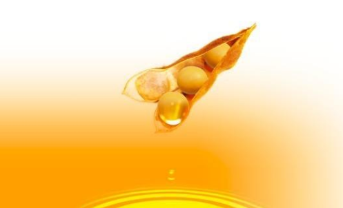 豆油期貨波動(dòng)一個(gè)點(diǎn)多少錢？豆油期