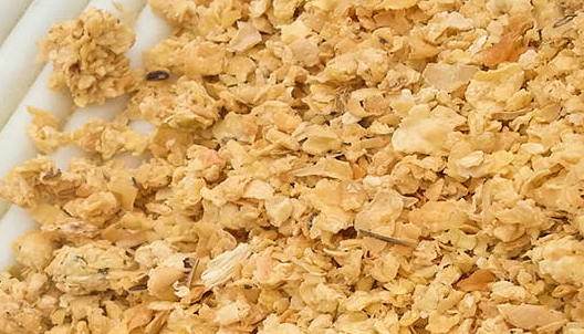 豆粕期貨行情分析，豆粕期貨的手續(xù)