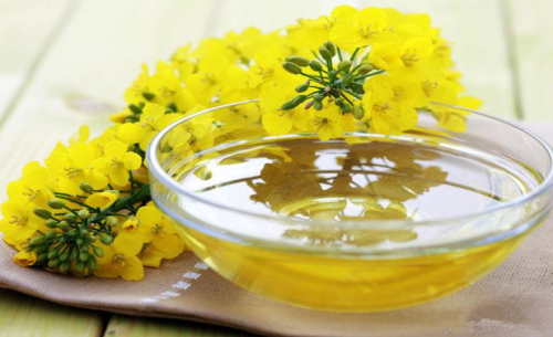 菜油期貨手續(xù)費(fèi)標(biāo)準(zhǔn)，怎么降低菜油