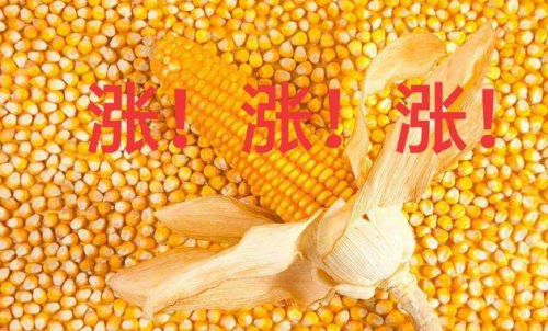 玉米期貨開戶要驗資嗎？為何不能買