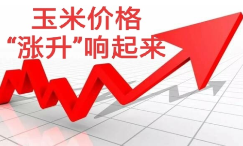 做玉米期貨盈利難嗎？玉米期貨漲5