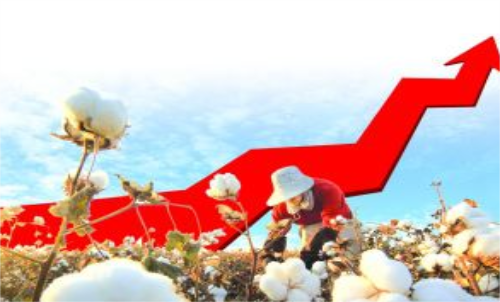 棉花期貨價格變化和哪些因素有關(guān)？