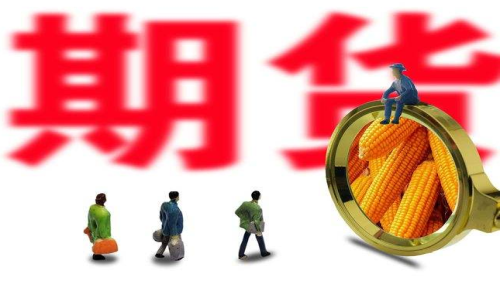 新手投資者怎么買玉米期貨？